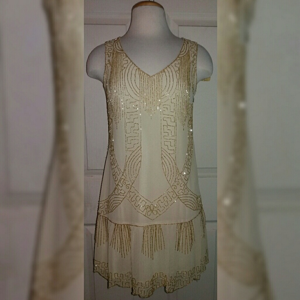 Frock and Frill Flapper Dress